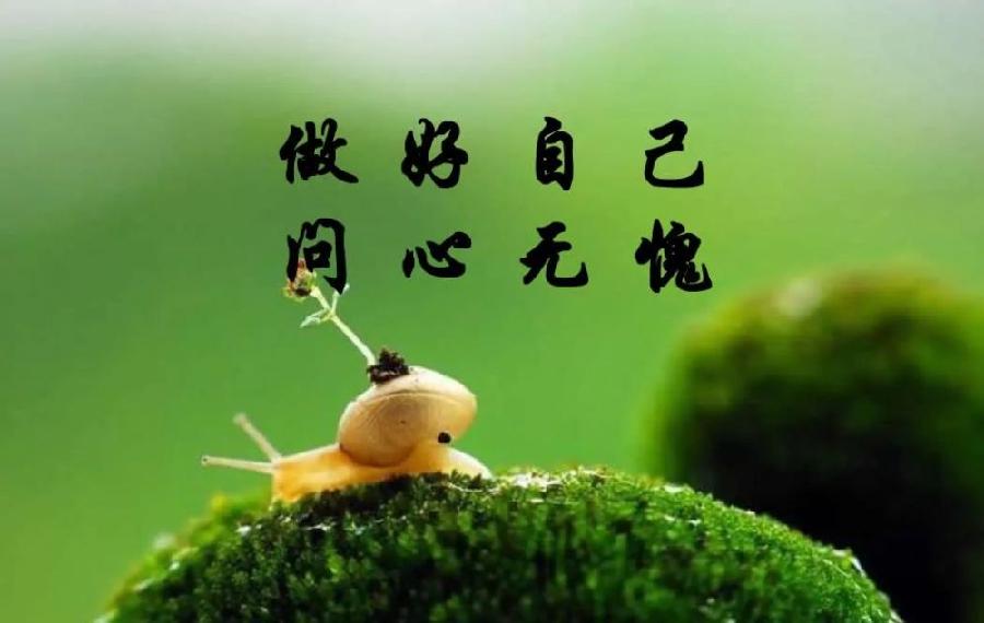 金子朗诵《金句》专集之六；收集：金华(李敬党)；编辑：开心快乐【运河之春】(第102期)（图3）