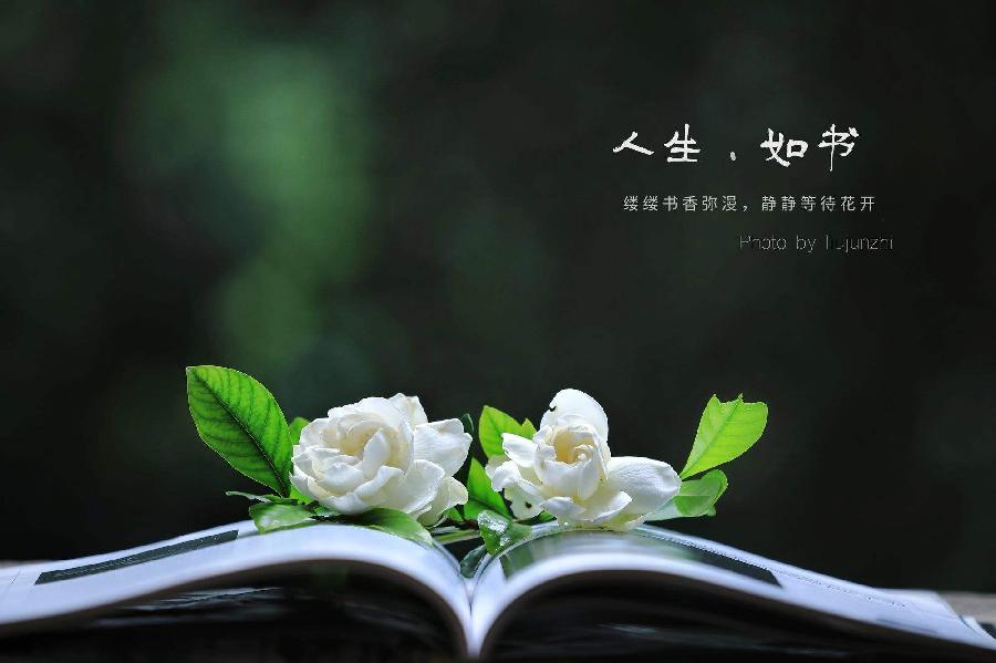 金子朗诵《金句》专集之六；收集：金华(李敬党)；编辑：开心快乐【运河之春】(第102期)（图8）