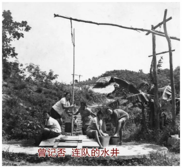 海南小伙房的知青生活(图6)