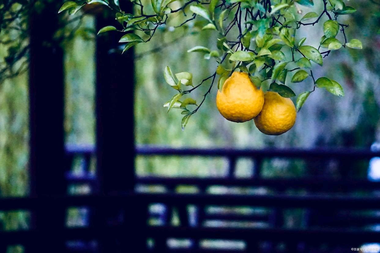 【明心文学】蚕食人尘私欲的想 作者/明心 主播/薇薇（图4）