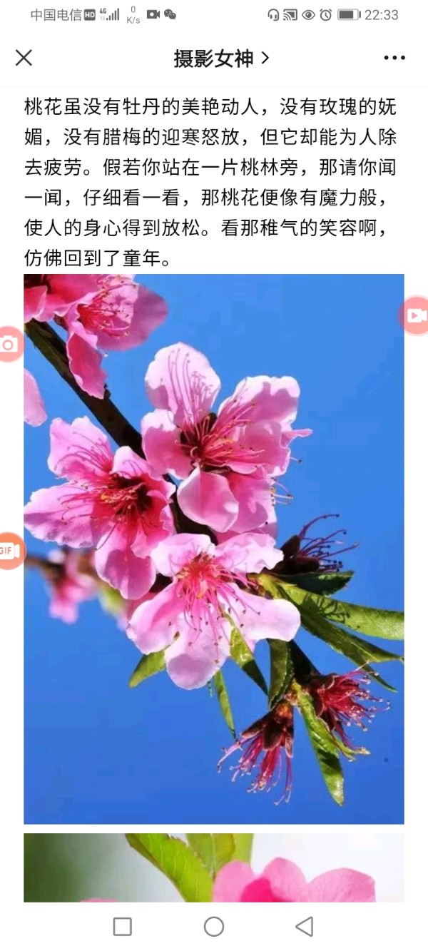 【接龙赛～平水韵诗】作者/罗定友～（广东）翻唱/｛暗里着迷｝（图7）