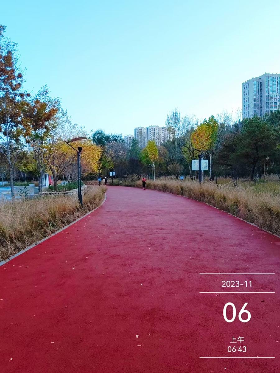 河北廊坊曹学光(飞人乔丹):秋叶黄(外六首)（图29）