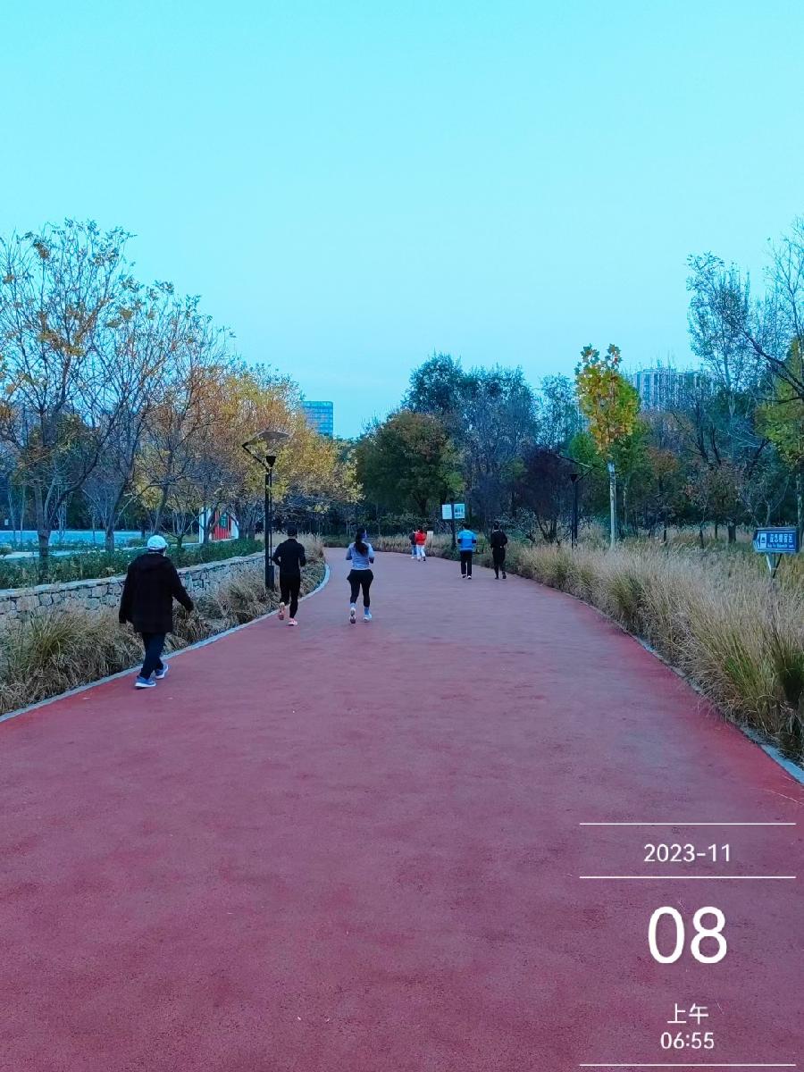 河北廊坊曹学光(飞人乔丹):秋叶黄(外六首)（图35）