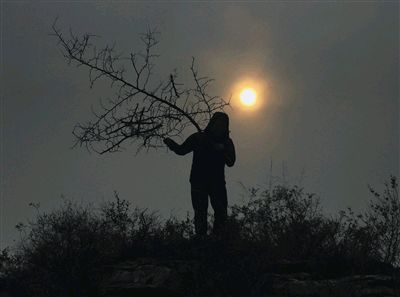 《谋生》作者/张文莉 主播/保龄 主编/胡琴(图4)