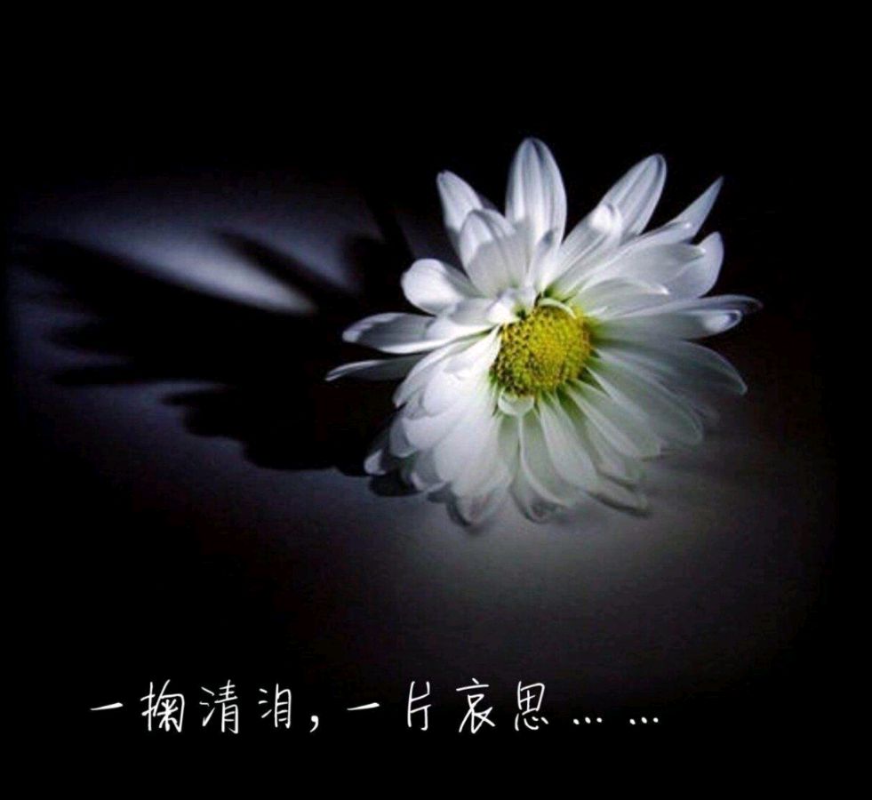 【经典推荐】“农民诗人”曹南强//哭妻[二首]（图4）