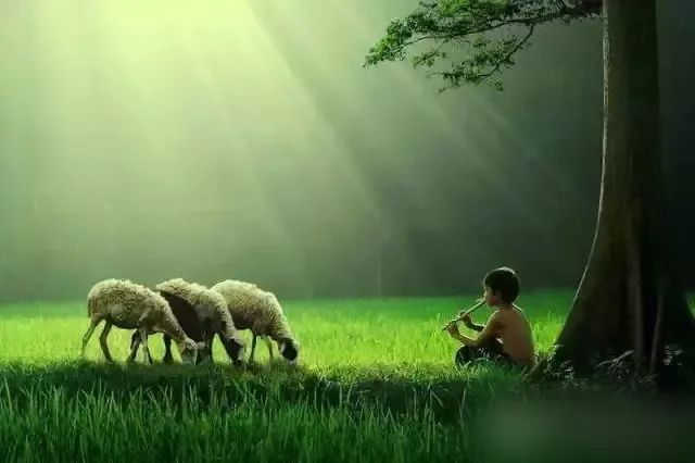 【经典推荐】“农民诗人”曹南强//哭妻[二首]（图7）