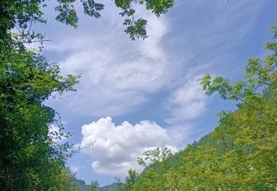 秋云～诗||王法林（图11）