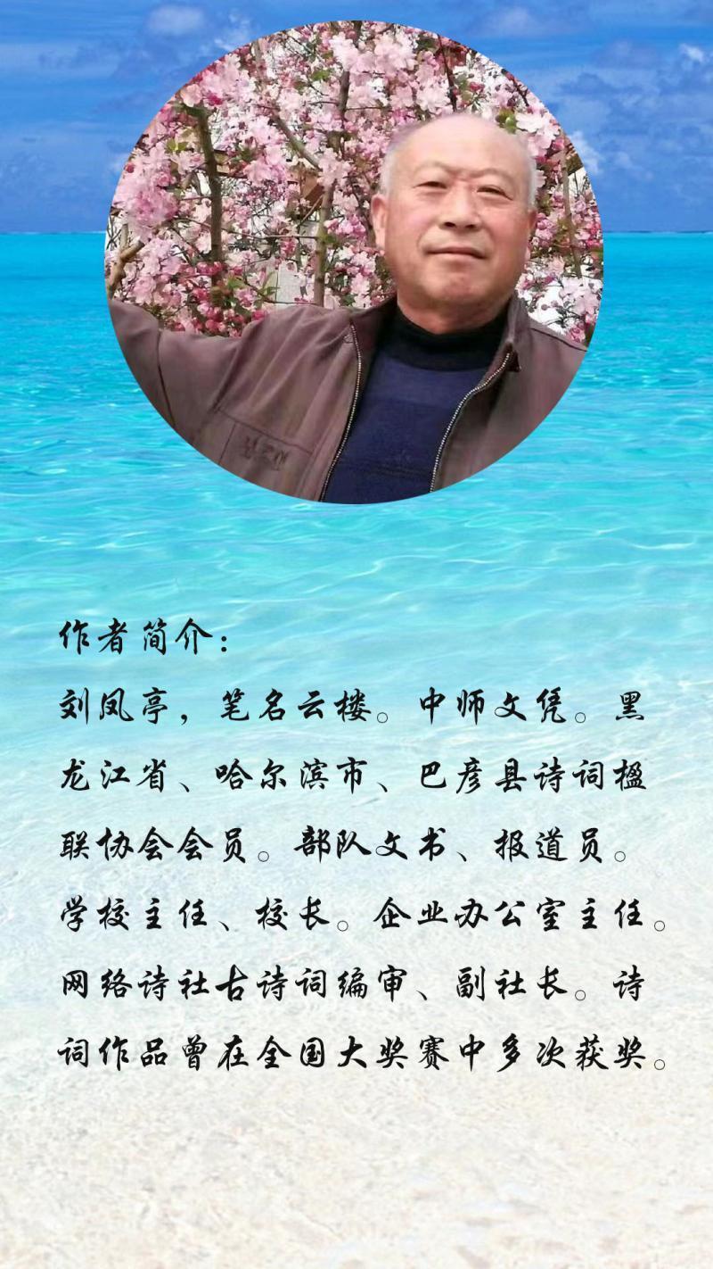 中华诗艺社黑龙江分社微刊第255期（图29）