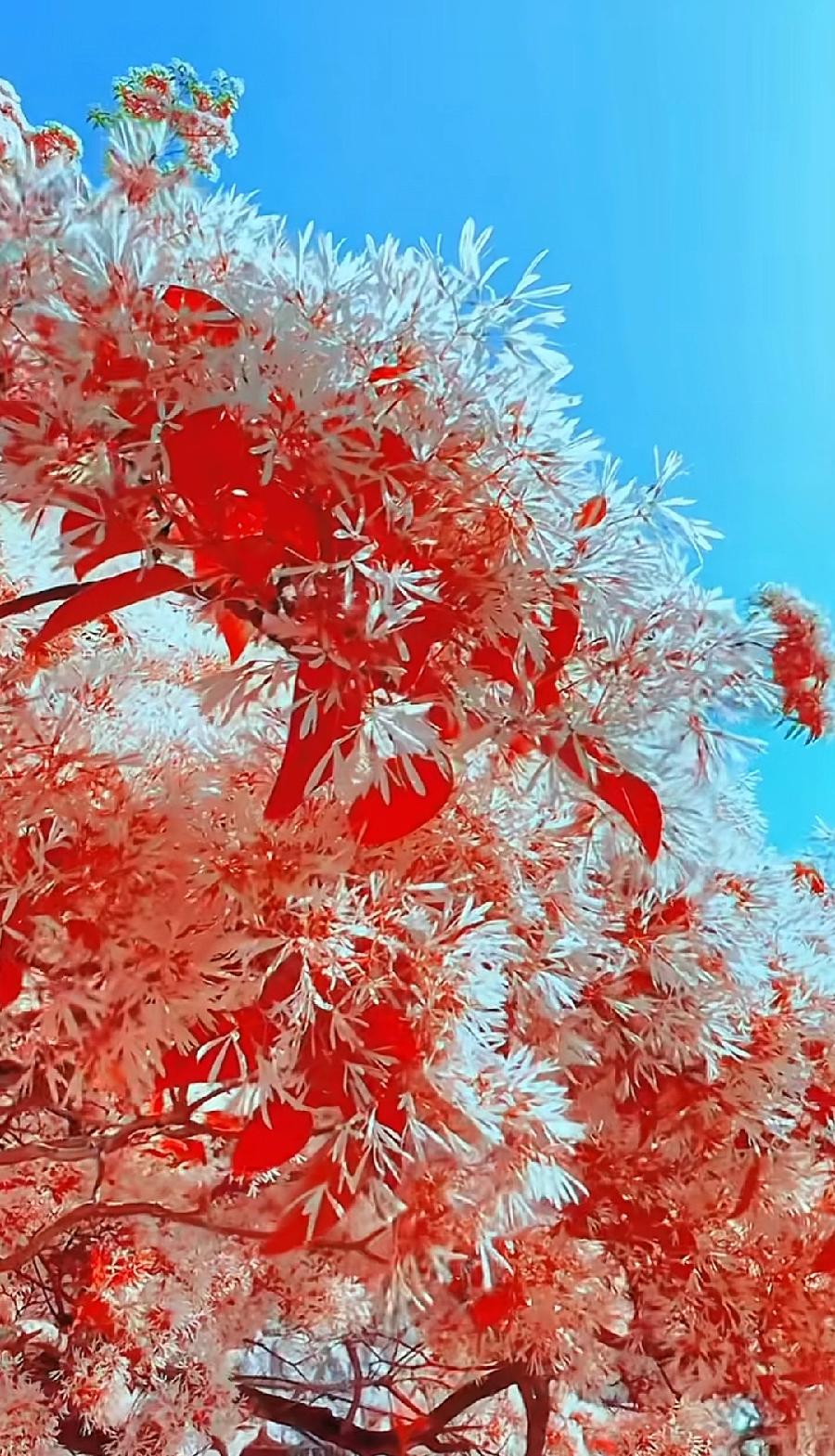 五绝-节送寒衣(组合)诗||孔德平(图20)