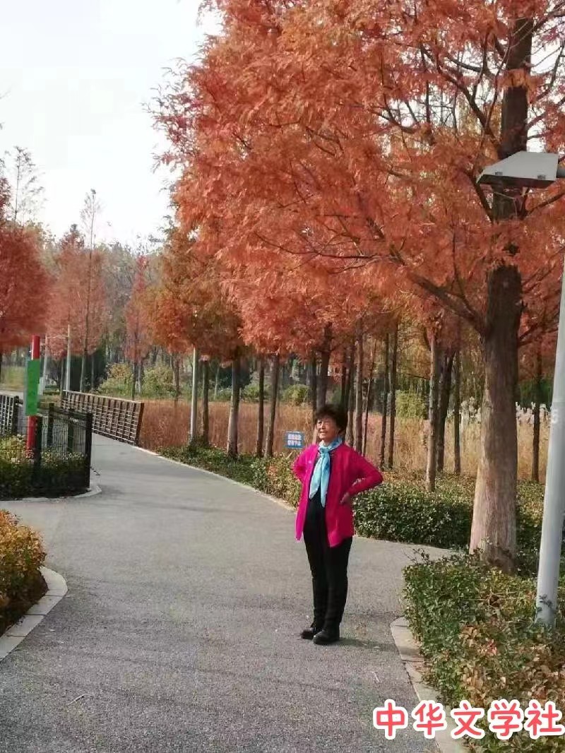 刘凤亭:冬日赏红水杉组诗五首（图7）