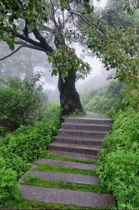 林杨（黑龙江）:下山（图4）