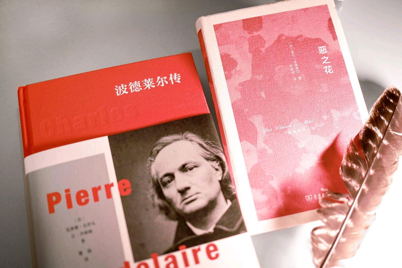 【作家版精品】巴黎 巴黎 你绽放的恶之花为何忧郁依然 文/影子探戈（江苏）主播/宋春献（图5）