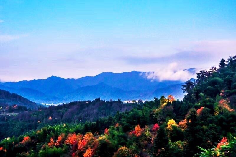秋色情牵碧云天（图6）