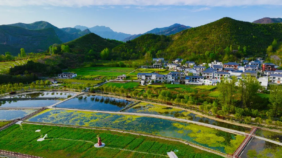 山阳县法官镇:如诗如画在眼前 农文旅融合发展的法官探索