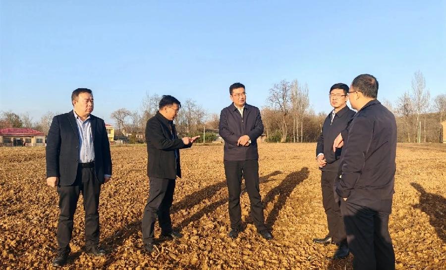 商州区区长支朝奇调研督导工业项目建设、耕地保护和乡村振兴等工作(图2)