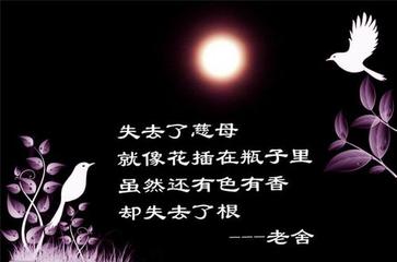 《祭母文》作者:回泉山人【中国现代诗歌文化传媒】散文欣赏（图4）
