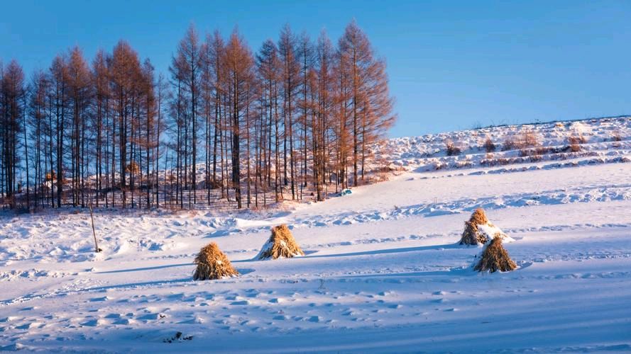 古韵四人行‖本期作者:陈晓云、刘文波、郭小林、梅引雪深【中国现代诗歌文化传媒】古韵鉴赏（图7）