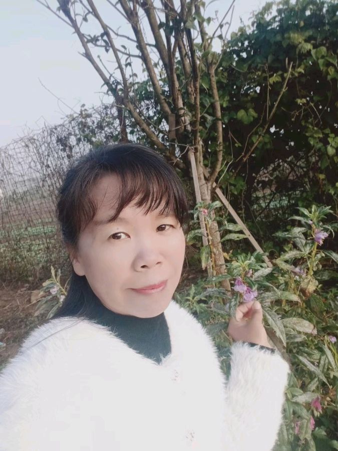 作者：戴小如（冰雪儿）《在白雾茫茫的清晨》7110期【新京都文艺】（图4）