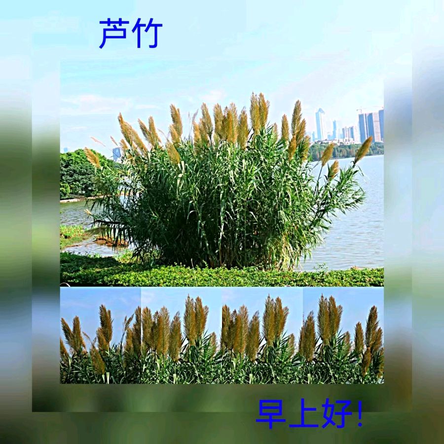 联机全球发布马洪武作品欣赏（图388）