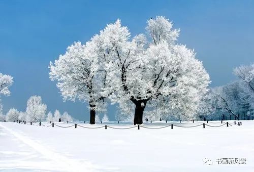 门前的香樟树——作者:水云居士——【民族诗人】征稿——都市头条(图4)
