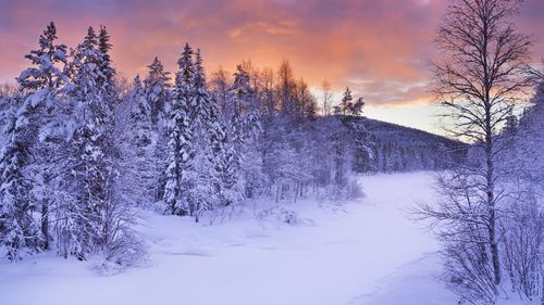 【中国长江文学社】《雪中寄君》作者 樊志刚//主播 缈邈//编辑 岁月静好 第6827期（图4）