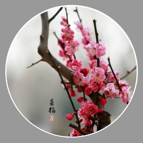 【新山东文学社】《诗词一组十首》作者/龙游天下 主播/苏宁（图4）