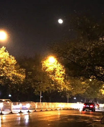 请欣赏金牌主播田心为您诵读卢进国老师的《初冬的月》编辑//海纳百川【中国长江文学社】有声文学平台【第6832期】（图4）