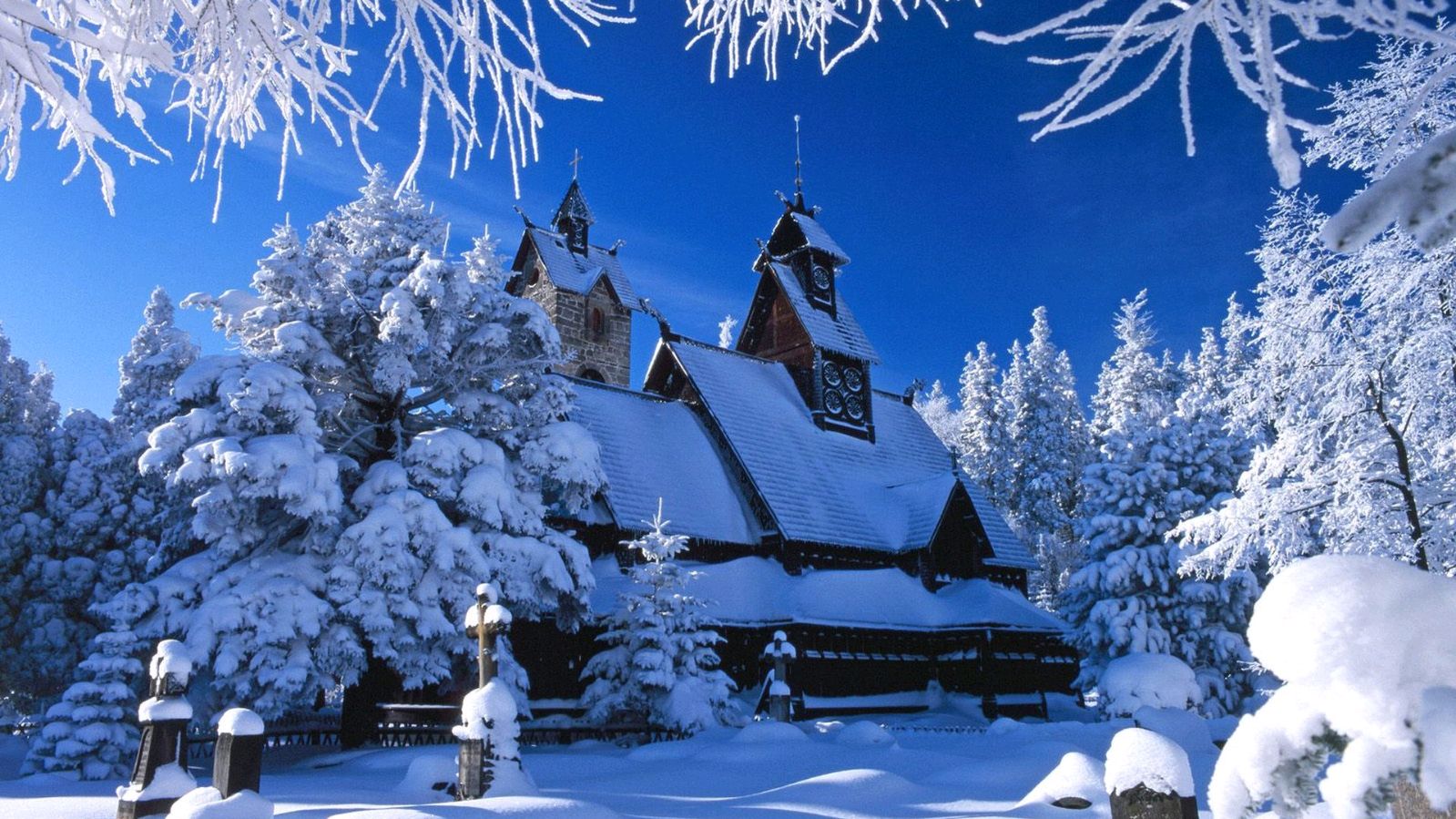 请欣赏金牌主播安然为您诵读张维清老师的《雪》编辑//海纳百川【中国长江文学社】有声文学平台【第6833期】（图4）