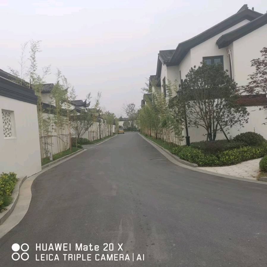 【诗游大别山11】徽派新居 文/书乐(图3)