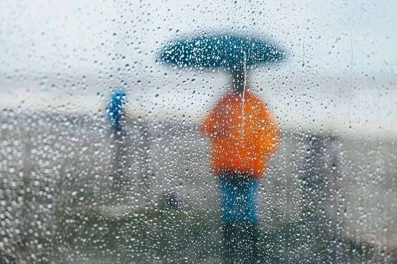 【新山东文学社】《冬天看雨》作者/田歌 主播/墨兰（图4）