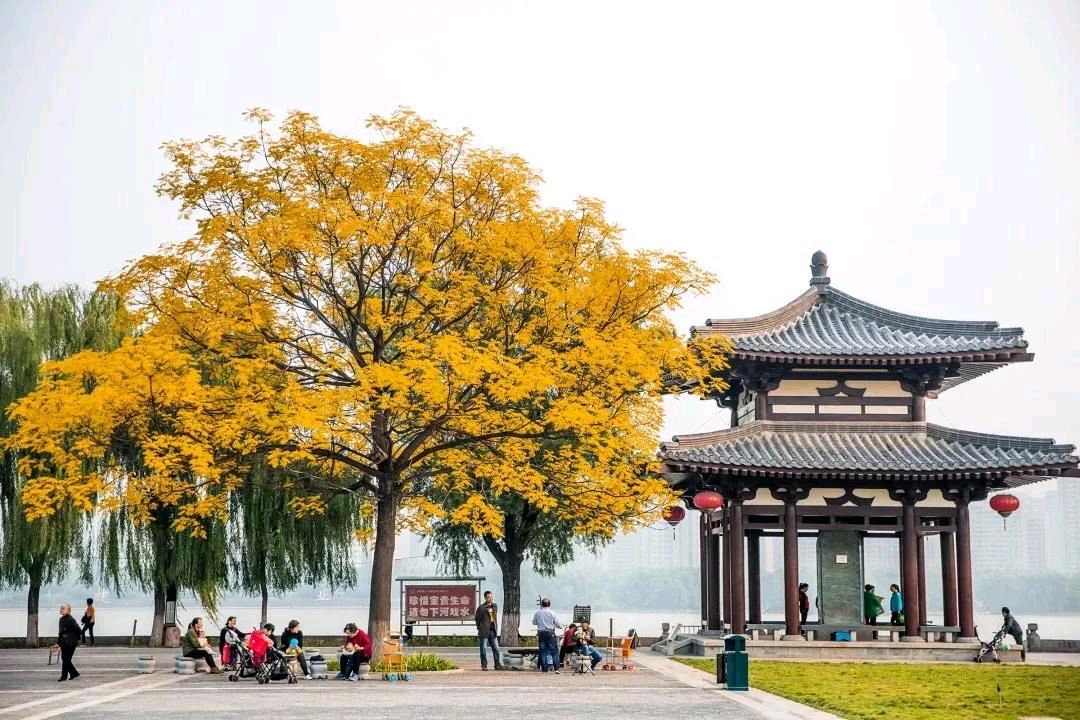 《回到家乡》外一首——作者:李明福——【民族诗人】征稿——都市头条(图3)