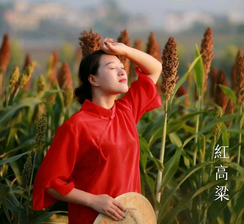 韩庚的《红高粱》