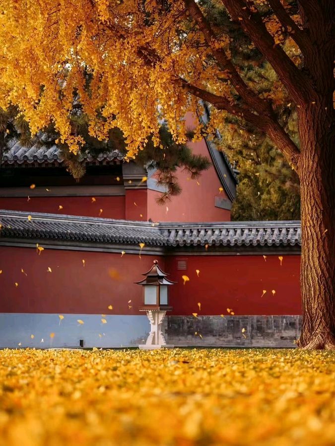 *诗歌小辑*作者：褚向平（河北）【冰心文化传媒】（图6）