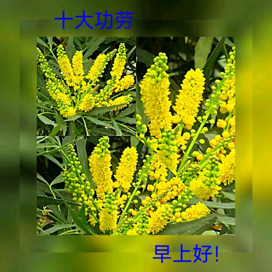 联机全球发布马洪武作品欣赏（图383）