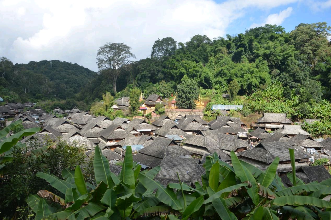 【星月诗社】||周播：我爱你，景迈茶山（散文）—北京头条（图10）