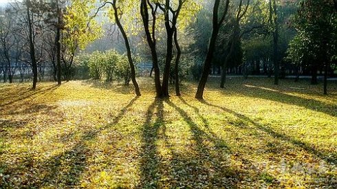 午时吟/天朗因风起 江山秀丽多(文/孙述考)……莲叶之珠文学社(图3)