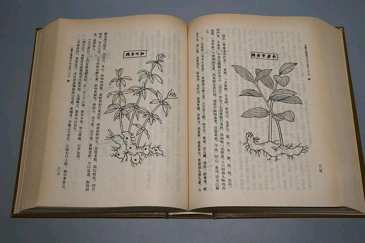 *书箱一一我的至爱*作者 吉运（新疆伊犁）【冰心文化传媒】（图5）