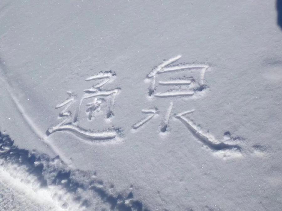 赵春和:2018年的雪（图17）