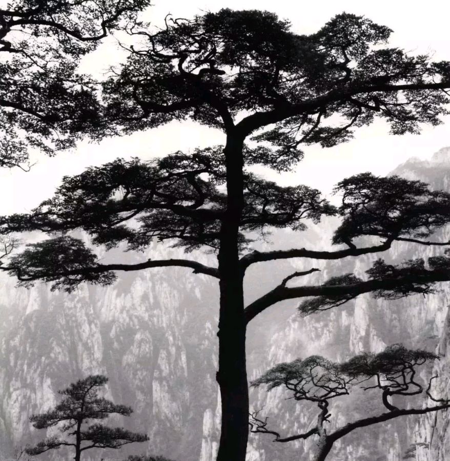 【三阴平韵～间～山～关～死韵～变活韵】作者/罗定友～（广东）翻唱/｛夫妻双双把家还｝（图8）