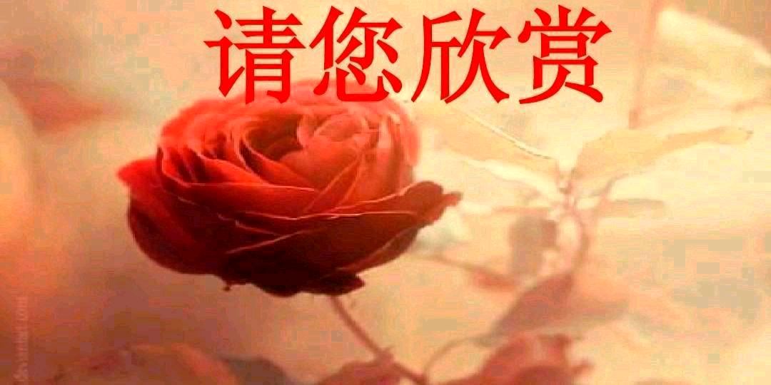 聆听健康讲座得句(新韵)金夜(兰州)