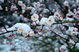 联机全球发布孔德剑作品欣赏(图2)