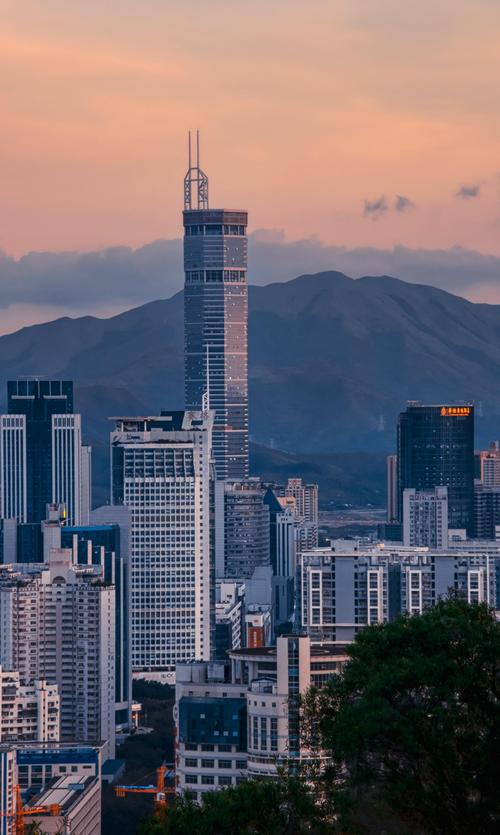深圳市退役军人红星志愿服务队吹响紧急集结号:号召全市有爱心有技能的退役军人加入红星志愿服务队（图4）