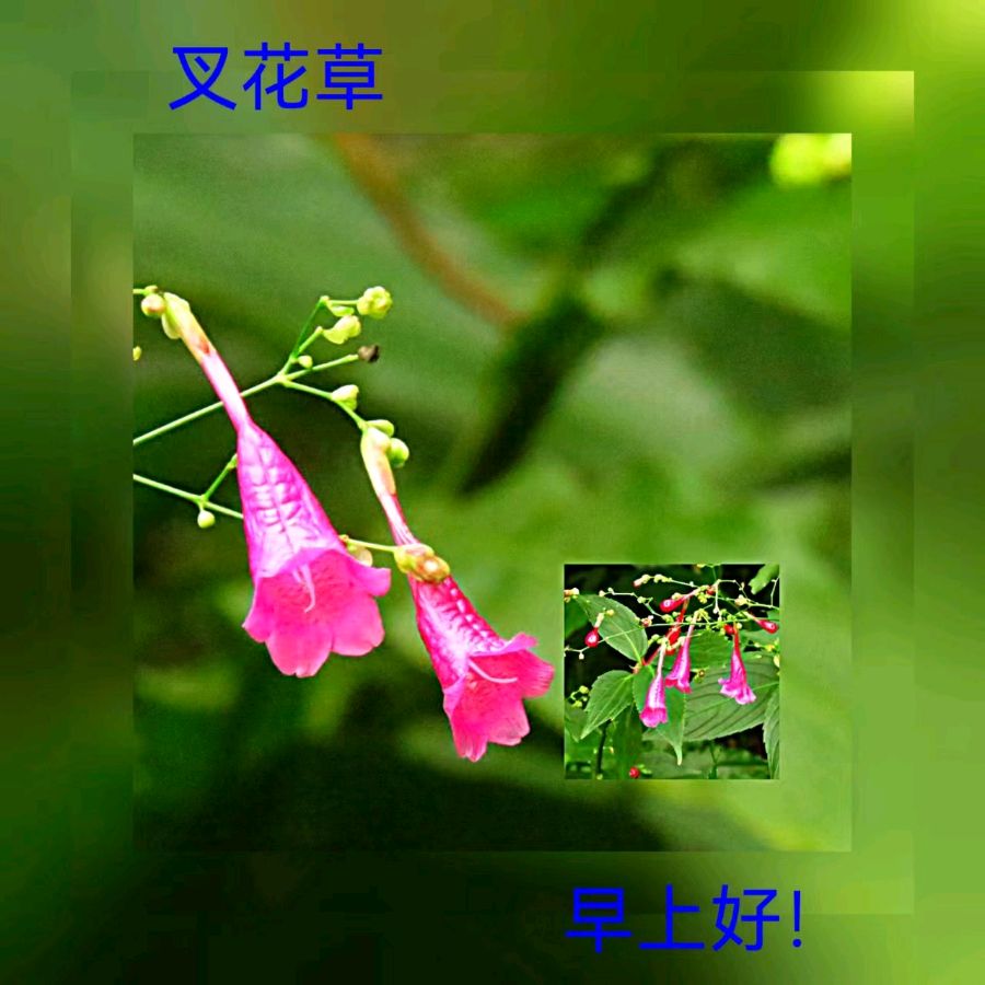 联机全球发布马洪武作品欣赏（图376）