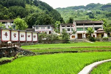 《古韵作品集》四人行【作者:张义生、王绵勇、郭小林、刘文波】【中国现代诗歌文化传媒】古韵鉴赏（图14）