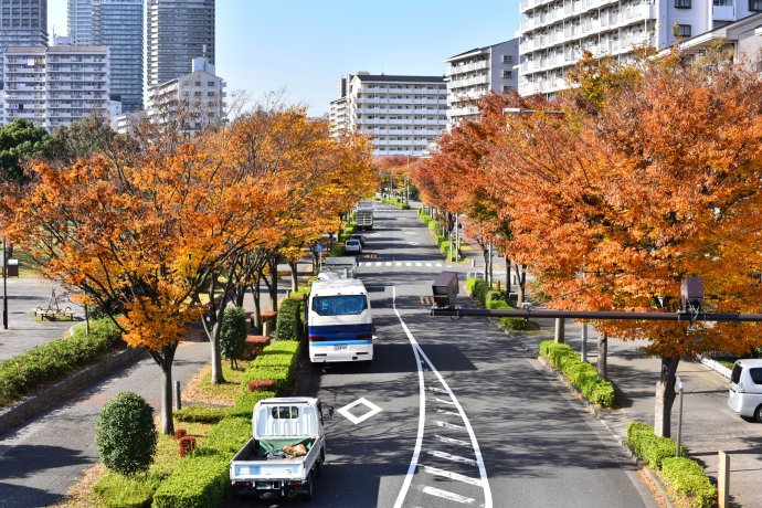行香子·村翁市区行（文/陈守邦）……莲叶之珠文学社（图3）