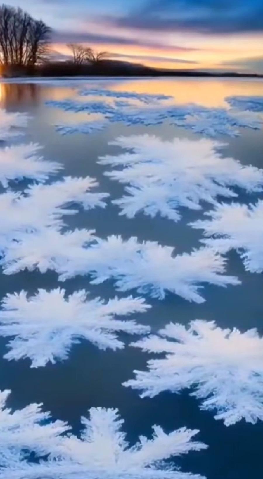鹧鸪天-小雪（外一首）词||于兴庆（图16）
