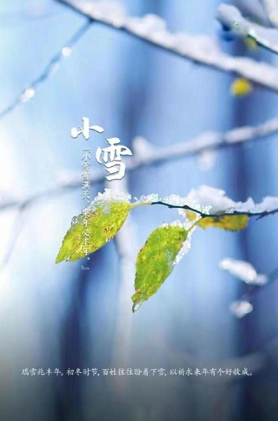 七律-小雪吟咏～诗||雅轩琴韵（图12）