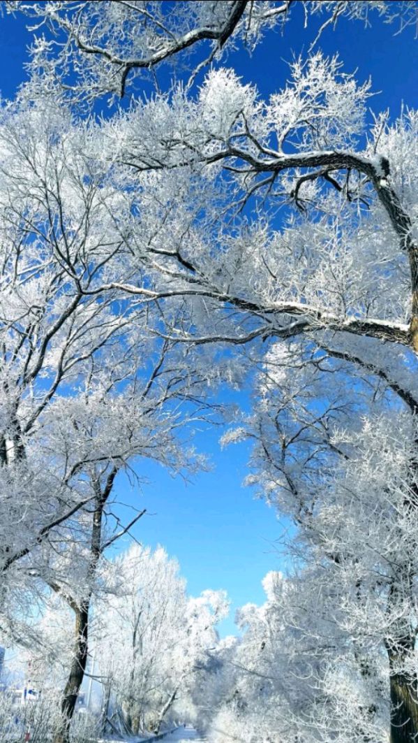 【荣耀中国】雪映丹水作者/张元平（湖北）（图2）