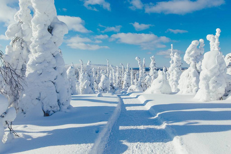 秦传利:小雪节气赋诗两首（图3）