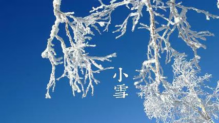 七律·步韵唐寅落花诗26/癸卯小雪（文/冯清明）……莲叶之珠文学社（图5）